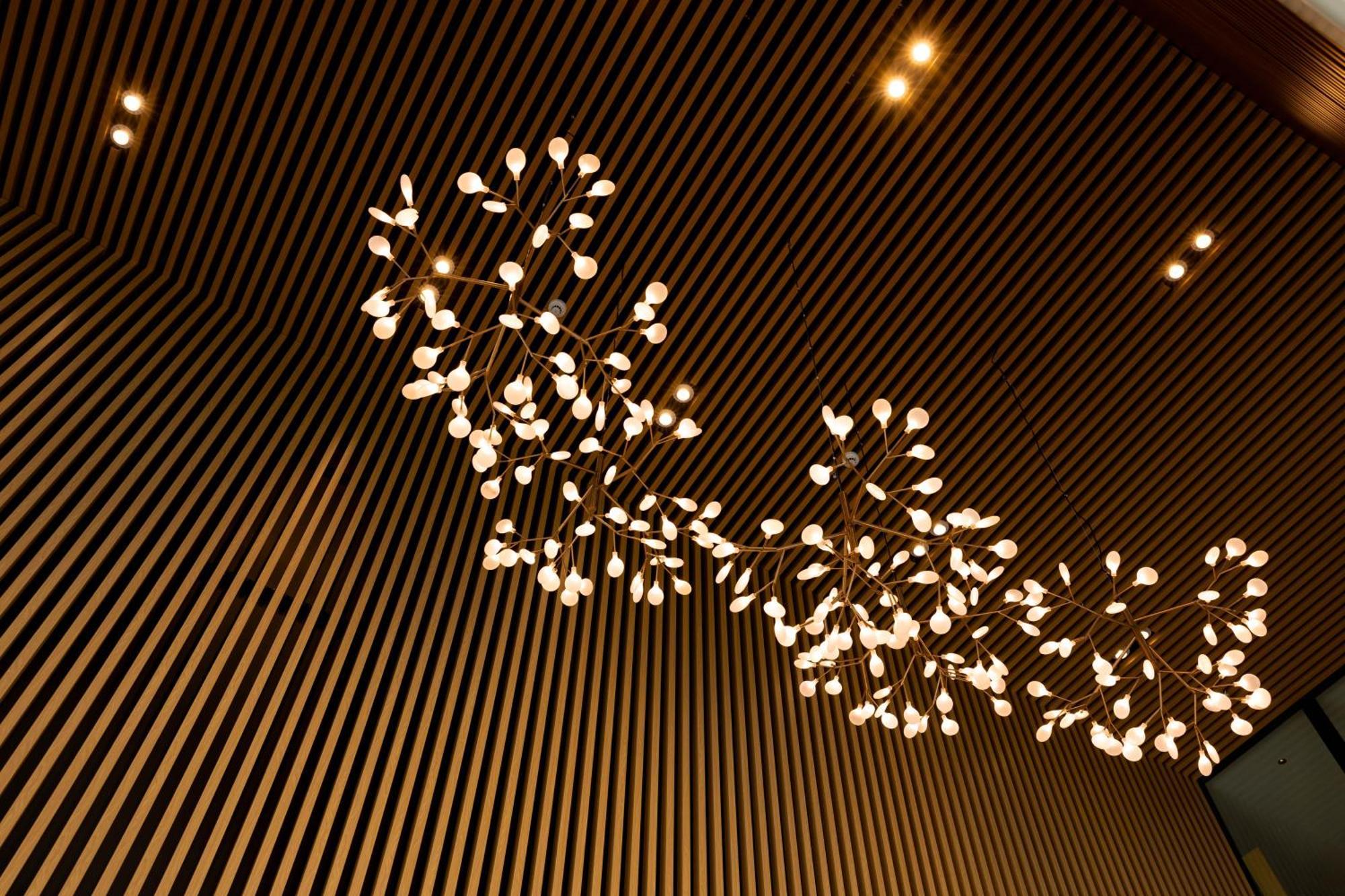 Maxim Hotel - Auckland Buitenkant foto